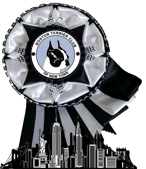 Boston terrier best sale club